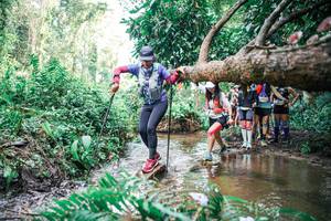 BIB: 
                            <button type="button" onclick="openModal(25514759)" class="btn btn-primary btn-sm float-right btn-popup" data-toggle="modal" data-target=".modal-high-quality">
                        <i class="fas fa-shopping-cart"></i> Add to Cart
                    </button>
                                            <button type="button" onclick="isThisMe(25514759, true)" class="btn btn-success btn-sm float-right btn-popup btn-isme hidden" data-toggle="tooltip" data-placement="bottom" title="นี่คือรูปของคุณใช่ไหม คลิกที่นี่เพื่อเอาเข้าอัลบั้ม">
                        <i class="fas fa-plus"></i> Add to album
                    </button>
                    <button type="button" onclick="isThisMe(25514759, false)" class="btn btn-warning btn-sm float-right btn-popup btn-isnotme hidden">
                        <i class="fas fa-ban"></i> Remove from album
                    </button>